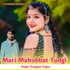 About Mari Mahobbat Todgi Song